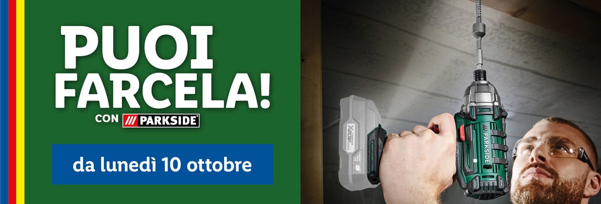 Fai Da Te Offerte Valide Da Lun 10 Ottobre 2022 VolantinoLidl It