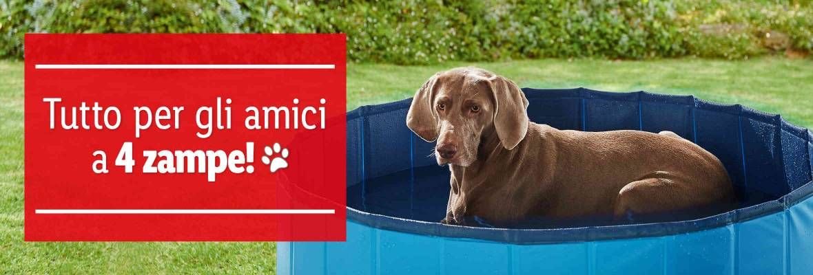Tutto per gli amici a 4 zampe Offerte valide da lunedì 1 luglio 2019