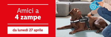 Animali domestici - Offerte valide da lun 27 aprile 2020