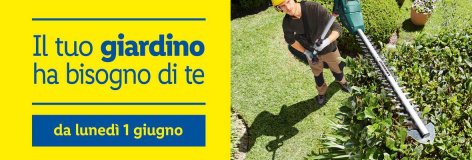 Giardino - Offerte valide da lun 01 giugno 2020