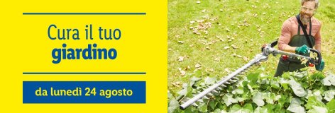 Giardino - Offerte valide da lun 24 agosto 2020