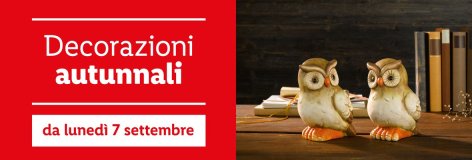 Decorazioni - Offerte valide da lun 07 settembre 2020