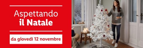 Decorazioni - Offerte valide da lun 16 novembre 2020