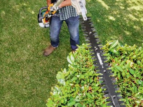 Giardino - Offerte valide da lun 31 maggio 2021