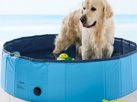 Animali domestici - Offerte valide da lun 28 giugno 2021