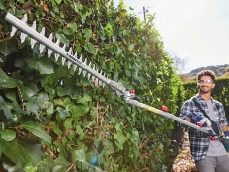 Giardino - Offerte valide da lun 26 luglio 2021