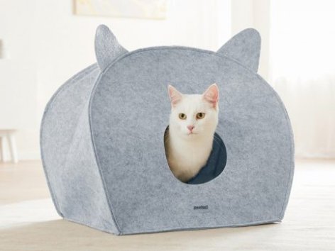 Animali domestici - Offerte valide da gio 23 settembre 2021