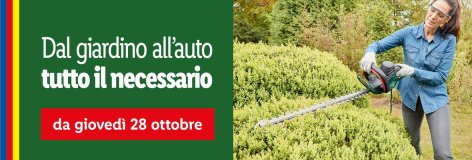 Fai da te - Offerte valide da lun 01 novembre 2021