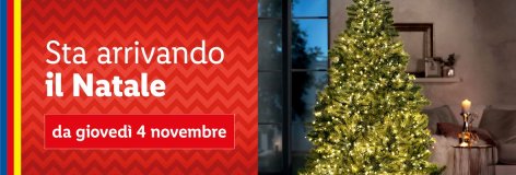 Preparati alle feste - Offerte valide da gio 04 novembre 2021