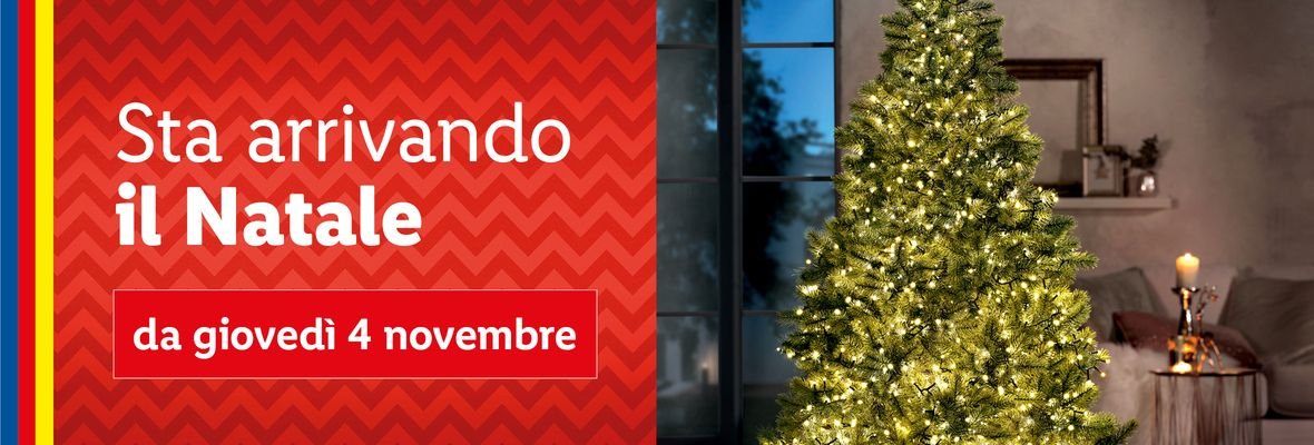 Preparati alle feste