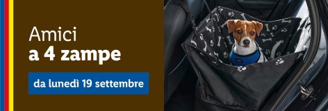 Animali domestici - Offerte valide da lun 19 settembre 2022