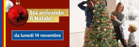 Prepariamoci al Natale! - Offerte valide da lun 14 novembre 2022