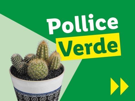 Piante e Recisi - Offerte valide da lun 07 ottobre 2024