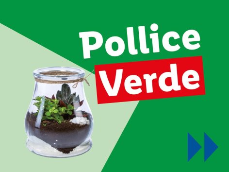 Piante e Recisi - Offerte valide da lun 07 luglio 2025