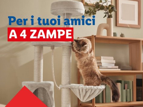 Per i tuoi amici a 4 zampe 🐱​ - Offerte valide da gio 07 agosto 2025
