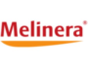 LIDL Volantino Offerte e Promozioni - Decorazioni - Offerte valide dal 3 marzo 2016