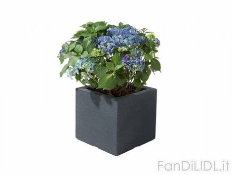 Vaso per piante (Giardino)