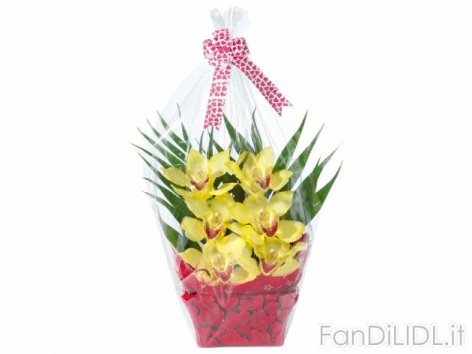 Orchidea 6 fiori (Fiori)