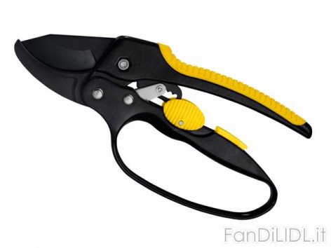 Forbice a cricchetto (Giardino)
