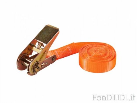 Cinghie o elastici (Per auto)