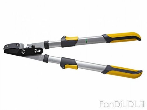 Tagliarami telescopico (Giardino)