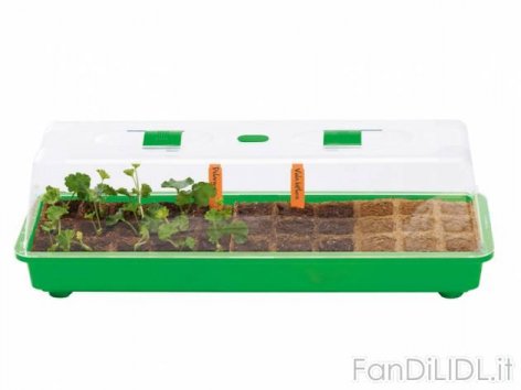 Mini-serra per interni (Giardino)