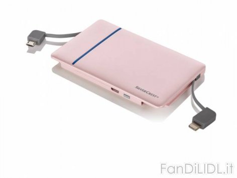 Batteria esterna (Computer e accessori di computer)