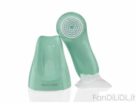 Spazzola per la (Bagno, accessori, interno)