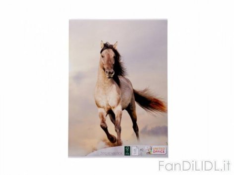 Blocco da disegno (Articoli per ufficio, cartacei, industriali)