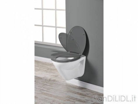 Asse per WC Soft-close (Bagno, accessori, interno)