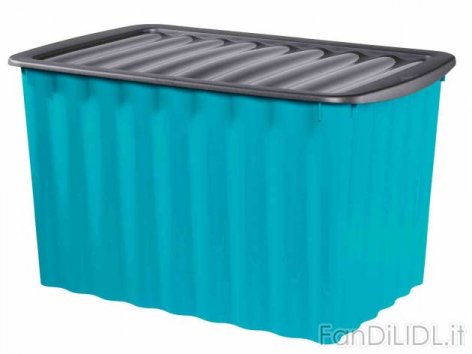 Box con coperchio (Pulizia della casa, sistemazione)