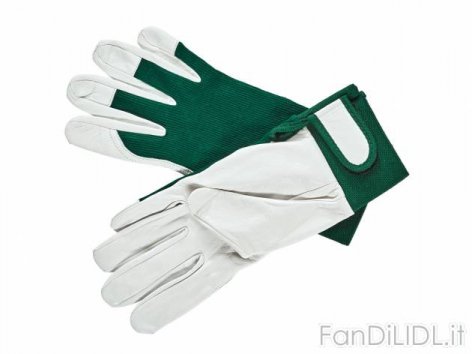 Guanti da giardino (Giardino)