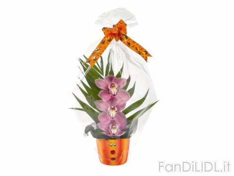 Cymbidium in vaso (Articoli per ufficio, cartacei, industriali)