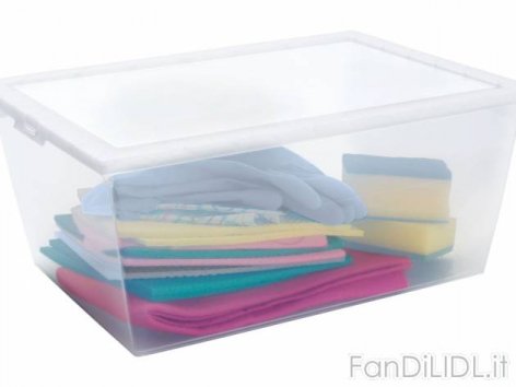 Box multiuso, 1, (Pulizia della casa, sistemazione)