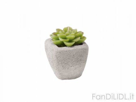 Candela cactus con (Giardino)