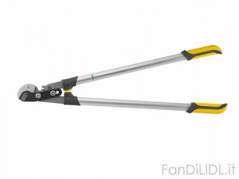 Tagliarami (Giardino)