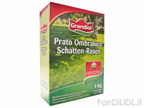 Sementi per prato (Fiori)