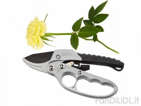 Forbice per giardinaggio (Giardino)