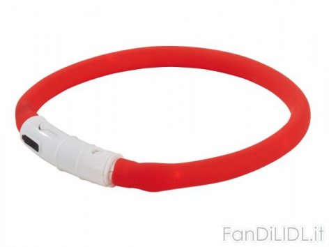 Collare luminoso (Animali domestici, cani, gatti)