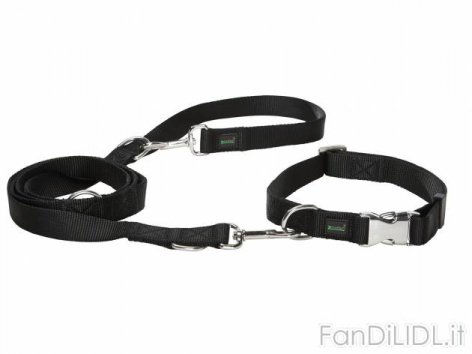 Set collare e guinzaglio (Animali domestici, cani, gatti)