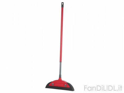 Scopa o set paletta (Pulizia della casa, sistemazione)