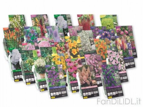 Bulbi per piantine (Fiori)