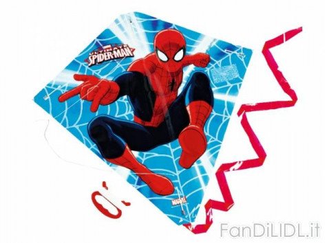 Aquilone (Per bambini)