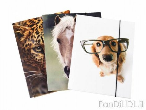 Cartelline con elastico (Per bambini)