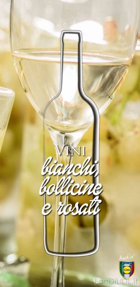 Gazetka Lidl strona 21 (Alcoolici)