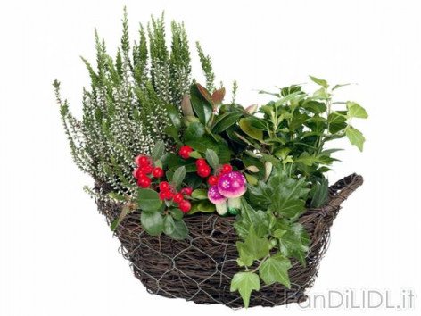 Cestino autunnale (Fiori)