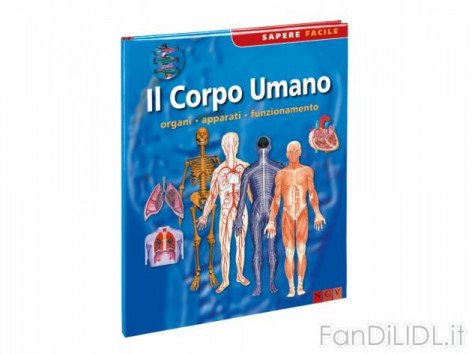Libro educativo (Articoli per ufficio, cartacei, industriali)