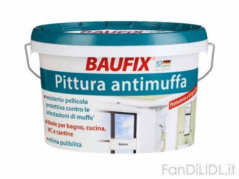 Pittura antimuffa (Officina, attrezzi, Lidl tecnico)