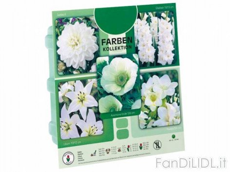 Bulbi assortiti (Fiori)