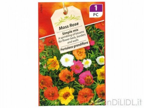 Buste di sementi (Fiori)